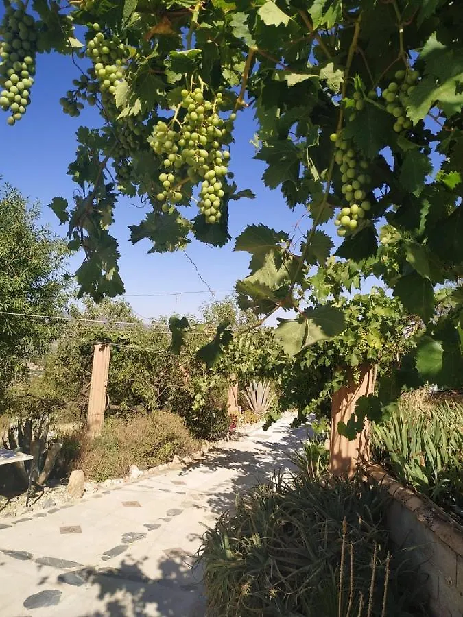 Loma Negra Villa Durcal